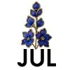 Jul - Larkspur