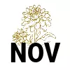11-Nov - Peony