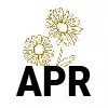 4-Apr - Chrysanthemum