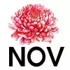 november