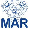 3-Mar