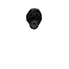 Black  (32)