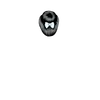 g1