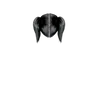 g4