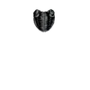 g2