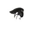 Black (9)
