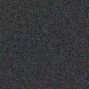 Black-10694