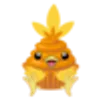 Torchic