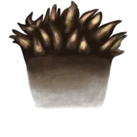 31