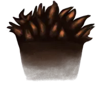 28