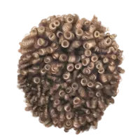 35