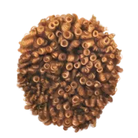36