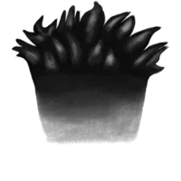 27