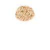 123
