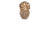 113