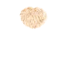 121