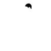 10 z4Erc