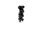 11 p78Wh