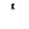 13 EIz6C