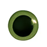 7 FQm0v