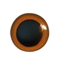 3 D0ise