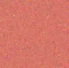 13 pYHyk