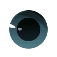 1 gGMN0