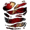 Image 31