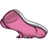 shoes (5)