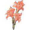Image 27