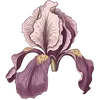 Image 25