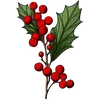 Image 20