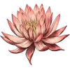 Image 28