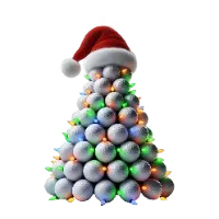BG3