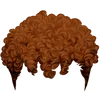 Image 21