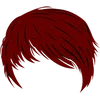 Image 29