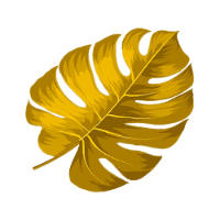 Metalic Gold