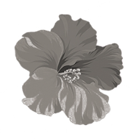 Pewter