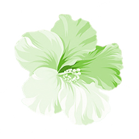 Action Green