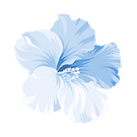 Titans Blue