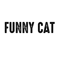 Funny Cat