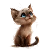 217