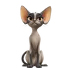 155