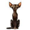 213