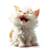 215