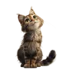 150