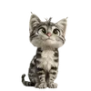 175