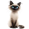 222