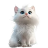 225