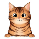  bengal 1